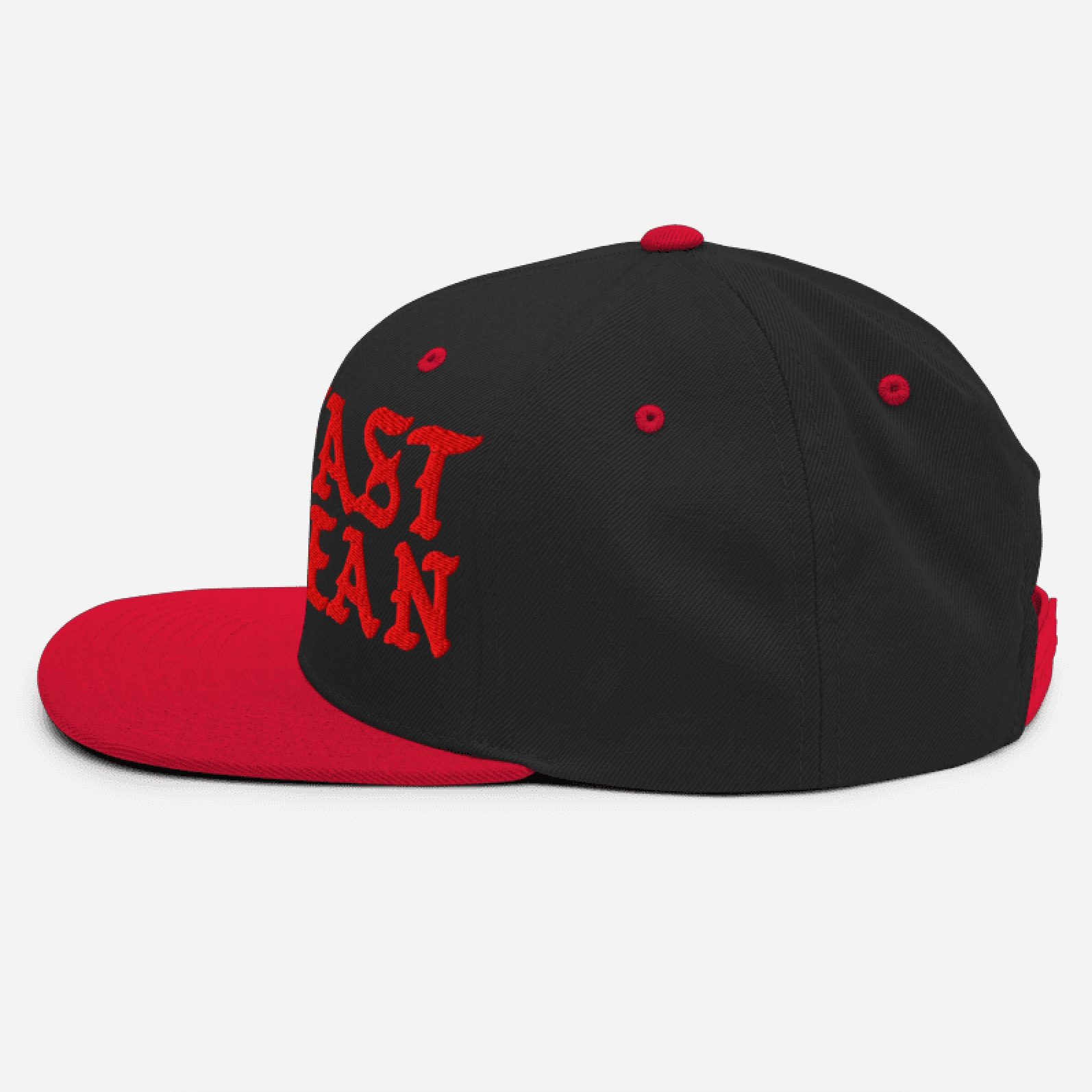 LFDC SNAPBACK